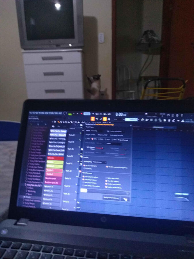 Meu primeiro notebook